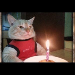 Meet your Posher, Meghan